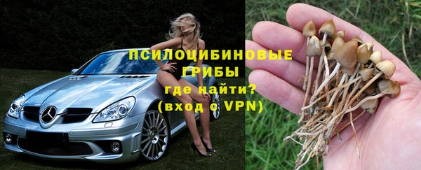 гашиш Дмитриев
