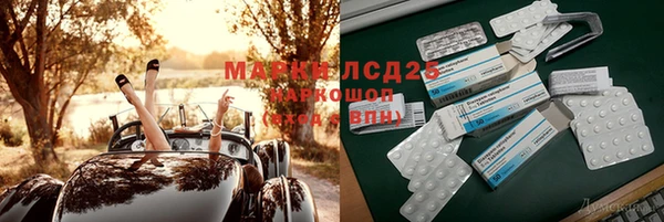 apvp Дмитров