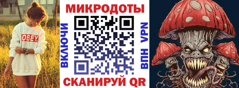 Купить  Нерчинск  Псилоцибиновые грибы Psilocybe 